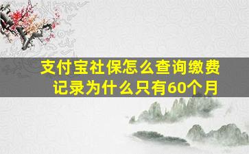 支付宝社保怎么查询缴费记录为什么只有60个月