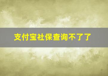 支付宝社保查询不了了