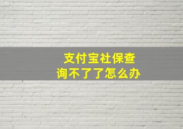 支付宝社保查询不了了怎么办