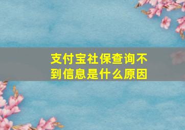 支付宝社保查询不到信息是什么原因