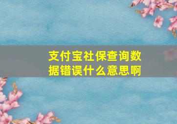 支付宝社保查询数据错误什么意思啊