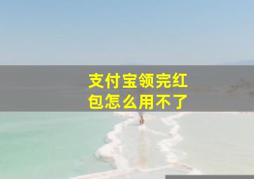 支付宝领完红包怎么用不了