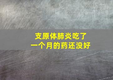 支原体肺炎吃了一个月的药还没好