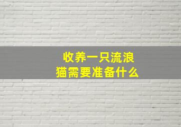 收养一只流浪猫需要准备什么