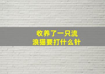 收养了一只流浪猫要打什么针