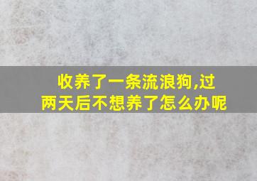 收养了一条流浪狗,过两天后不想养了怎么办呢