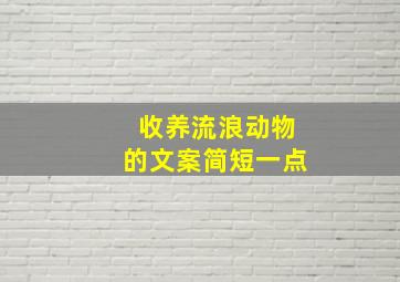 收养流浪动物的文案简短一点