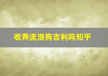 收养流浪狗吉利吗知乎