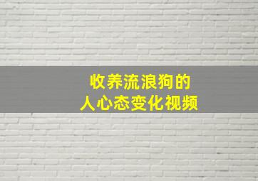 收养流浪狗的人心态变化视频