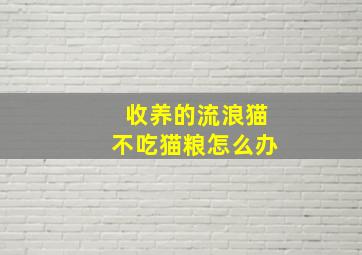 收养的流浪猫不吃猫粮怎么办