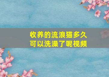 收养的流浪猫多久可以洗澡了呢视频