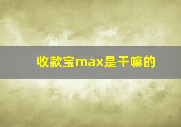 收款宝max是干嘛的