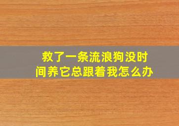 救了一条流浪狗没时间养它总跟着我怎么办