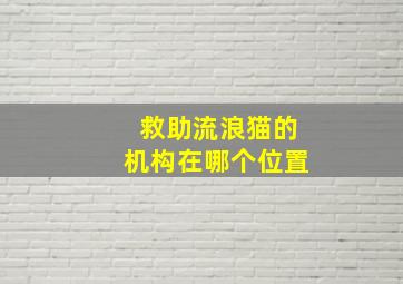 救助流浪猫的机构在哪个位置