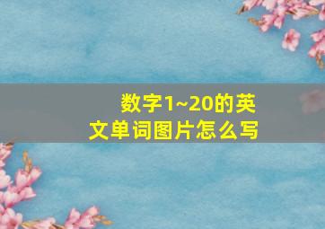 数字1~20的英文单词图片怎么写