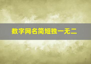 数字网名简短独一无二