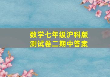 数学七年级沪科版测试卷二期中答案