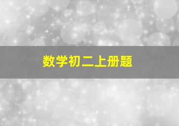 数学初二上册题