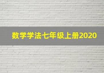 数学学法七年级上册2020