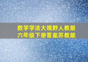 数学学法大视野人教版六年级下册答案苏教版