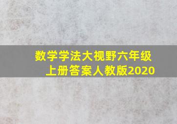 数学学法大视野六年级上册答案人教版2020