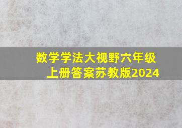 数学学法大视野六年级上册答案苏教版2024