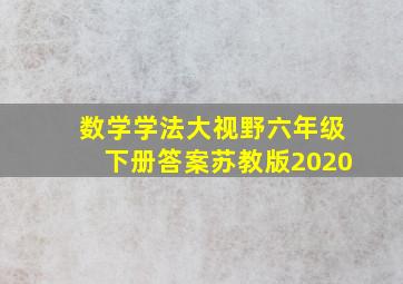 数学学法大视野六年级下册答案苏教版2020