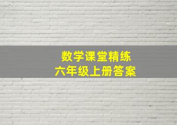 数学课堂精练六年级上册答案