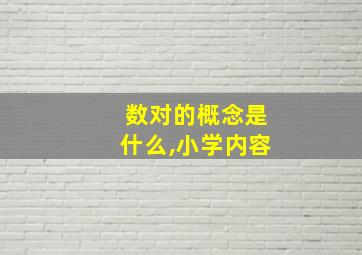 数对的概念是什么,小学内容