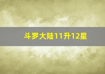 斗罗大陆11升12星