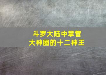 斗罗大陆中掌管大神圈的十二神王