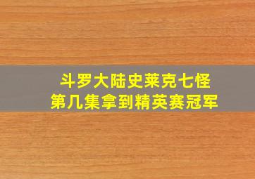 斗罗大陆史莱克七怪第几集拿到精英赛冠军