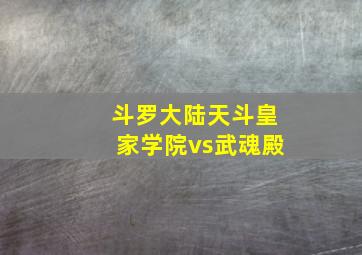 斗罗大陆天斗皇家学院vs武魂殿