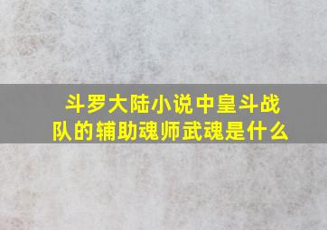 斗罗大陆小说中皇斗战队的辅助魂师武魂是什么