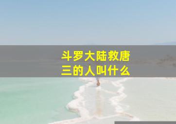 斗罗大陆救唐三的人叫什么