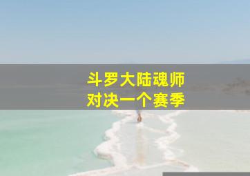 斗罗大陆魂师对决一个赛季