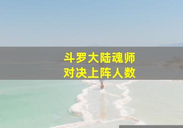 斗罗大陆魂师对决上阵人数