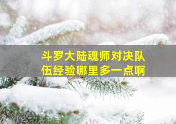 斗罗大陆魂师对决队伍经验哪里多一点啊