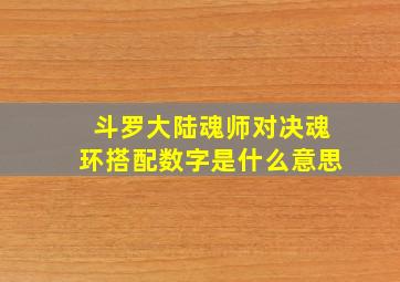 斗罗大陆魂师对决魂环搭配数字是什么意思