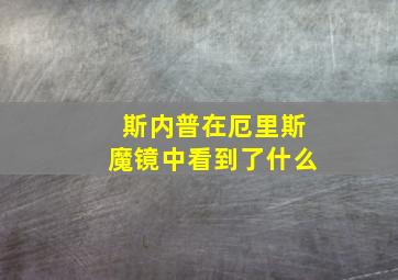 斯内普在厄里斯魔镜中看到了什么