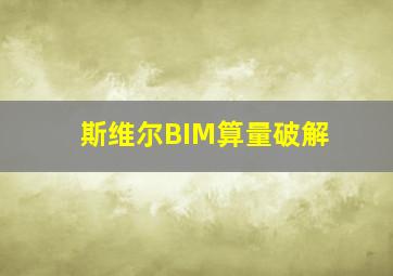 斯维尔BIM算量破解