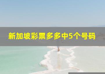 新加坡彩票多多中5个号码