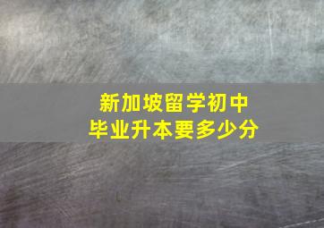 新加坡留学初中毕业升本要多少分