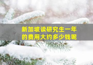 新加坡读研究生一年的费用大约多少钱呢