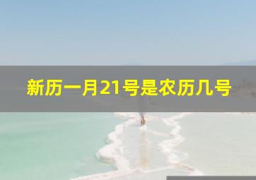 新历一月21号是农历几号