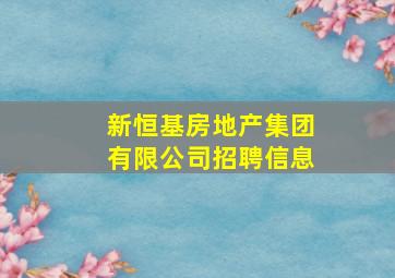 新恒基房地产集团有限公司招聘信息