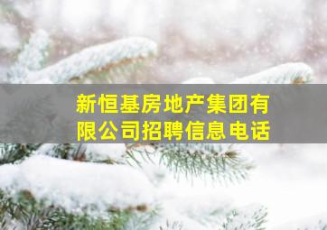 新恒基房地产集团有限公司招聘信息电话