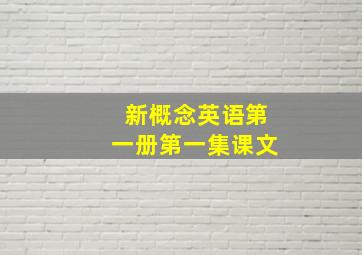 新概念英语第一册第一集课文