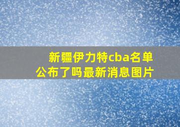 新疆伊力特cba名单公布了吗最新消息图片