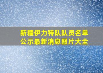 新疆伊力特队队员名单公示最新消息图片大全